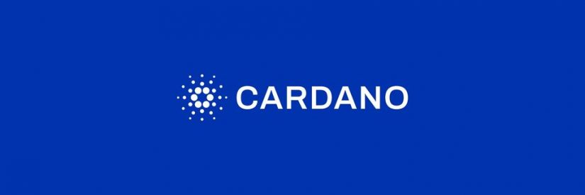 What is Cardarno? What makes it different? A brief guide